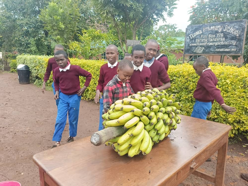 Banana crops